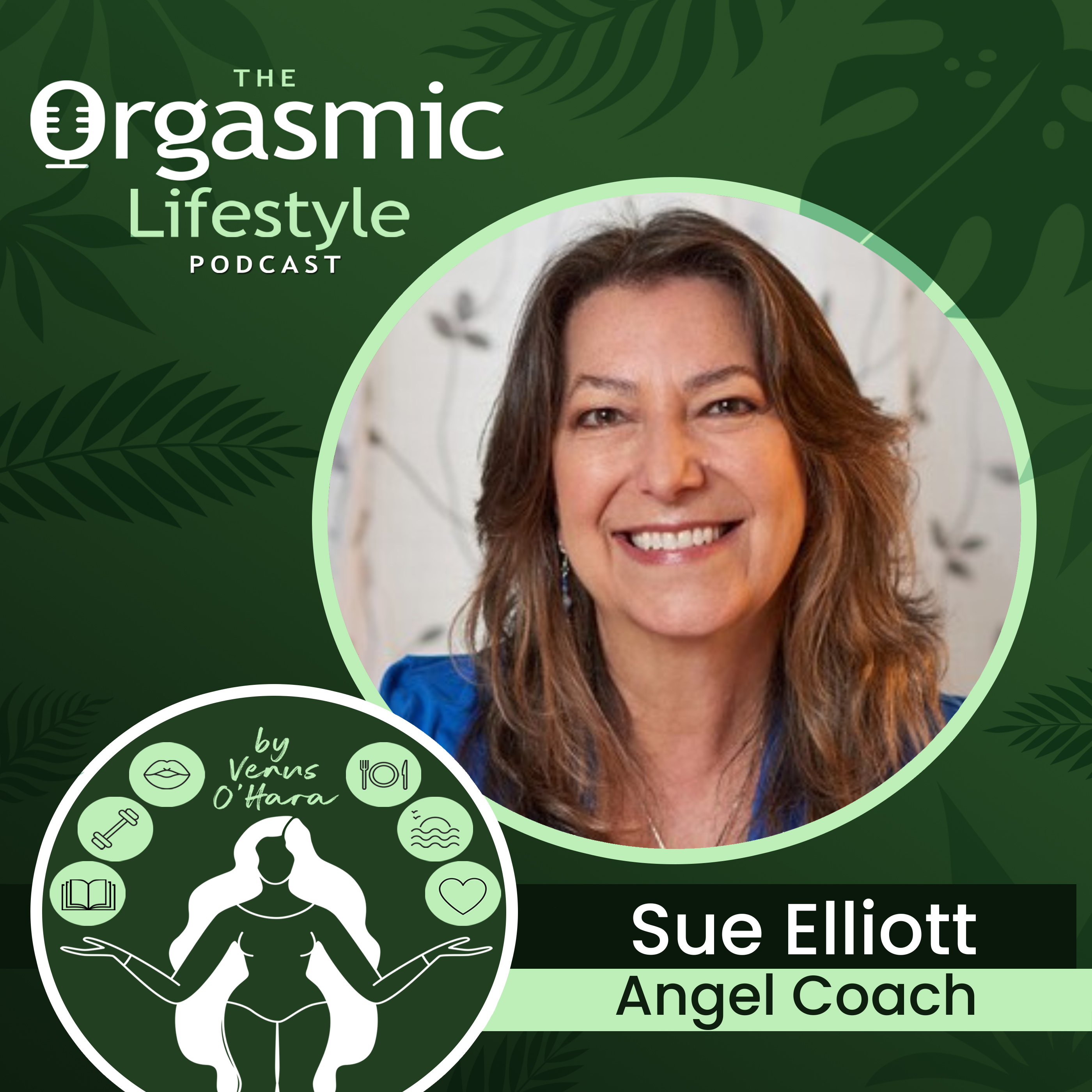157 This Is Your Sign: Angel Guidance With Sue Elliott