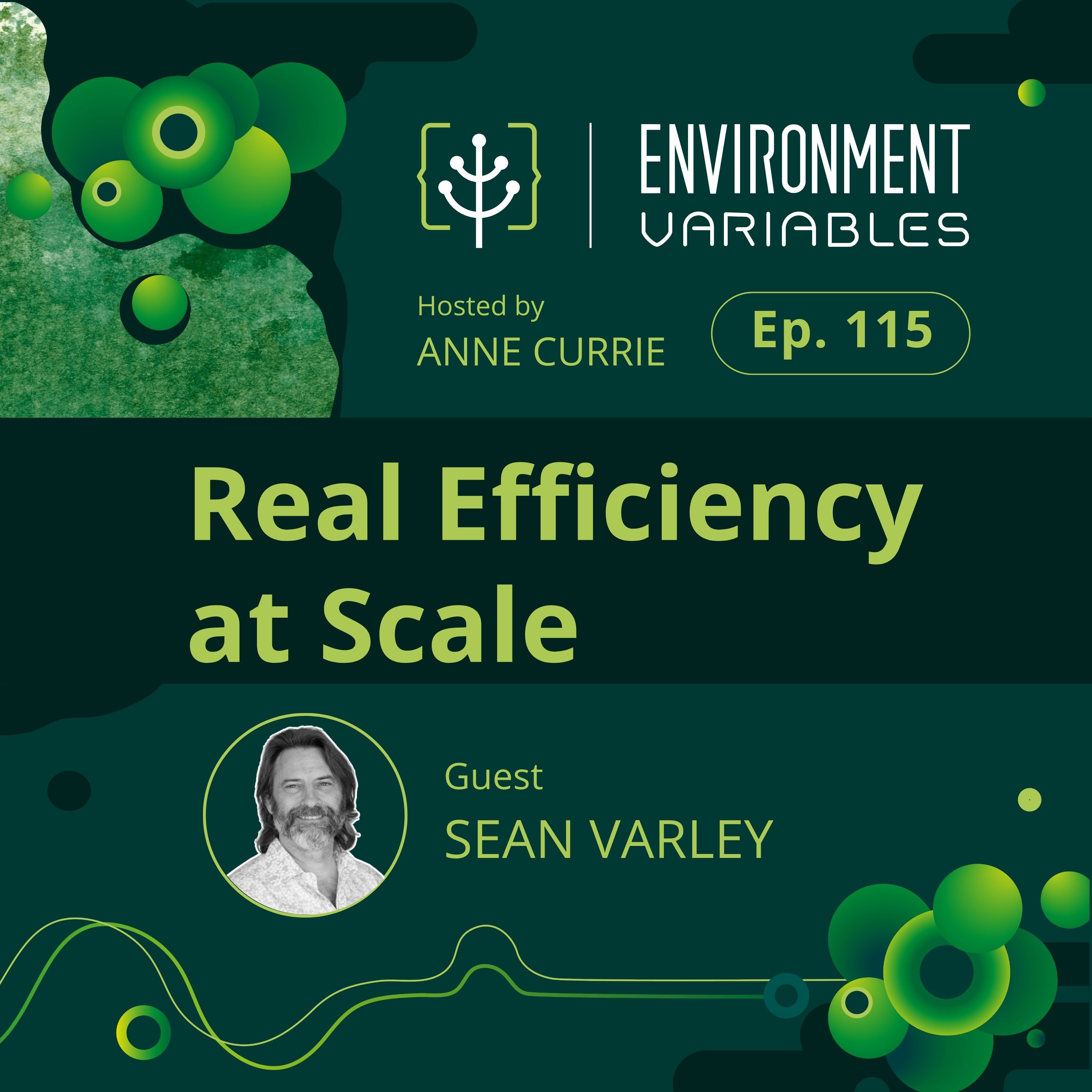 Environment Variables