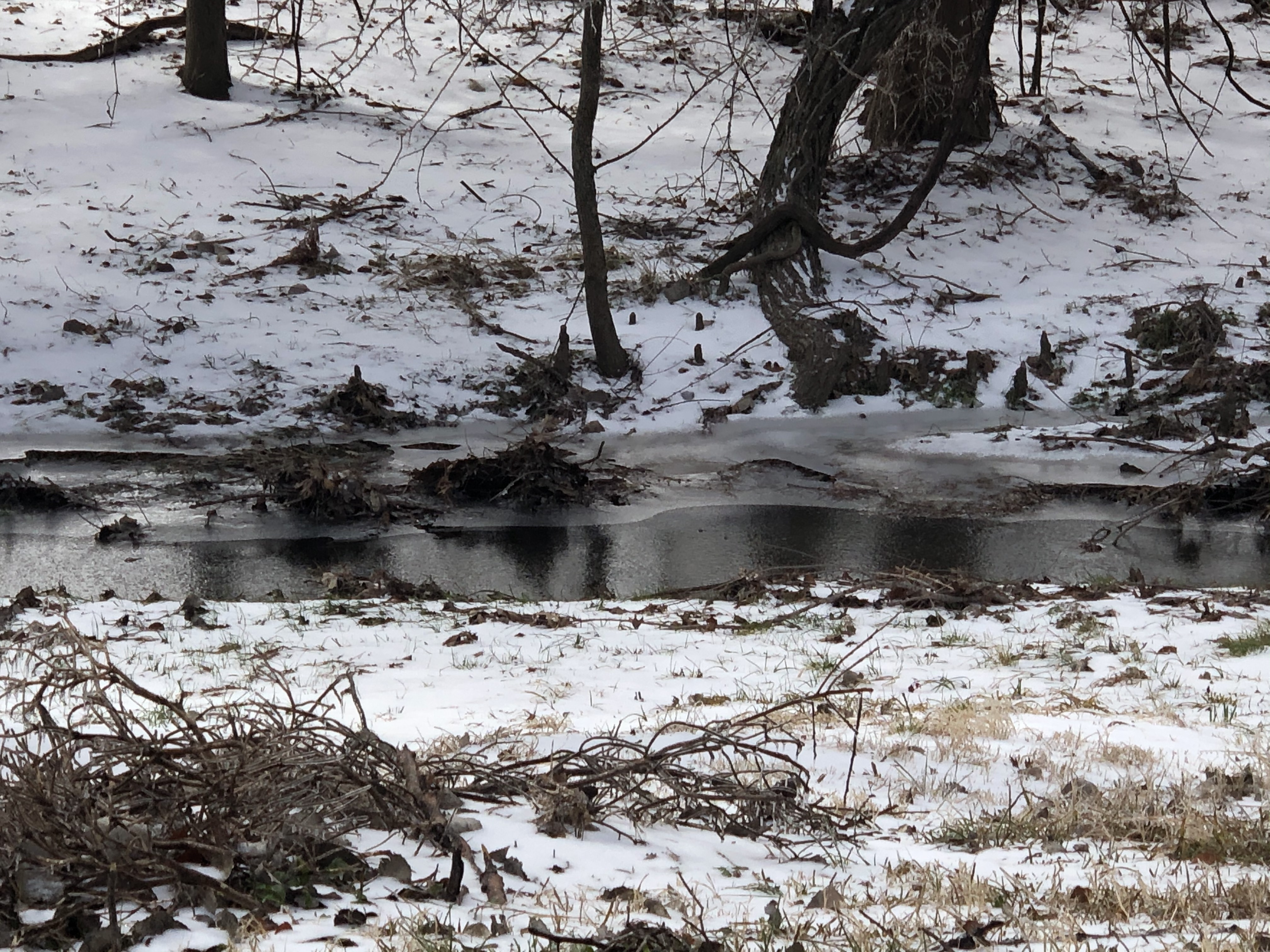 Find Your Flow® Podcast